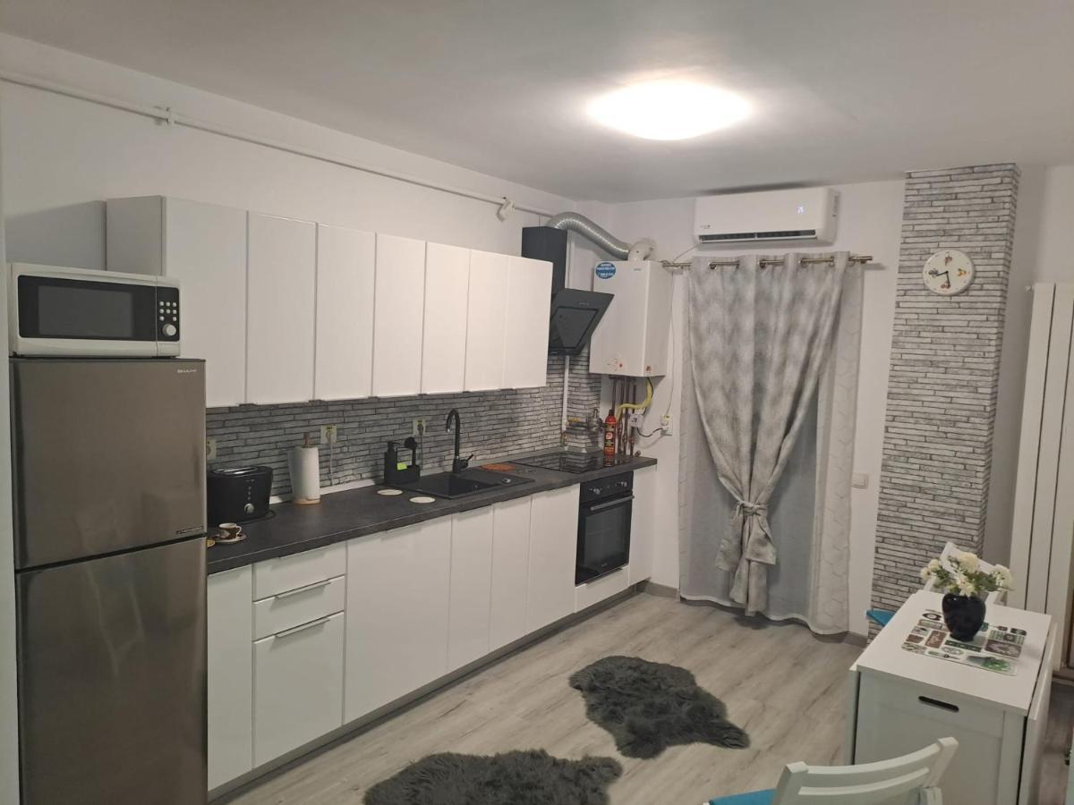 Apartament Bio Selimbar Exterior photo